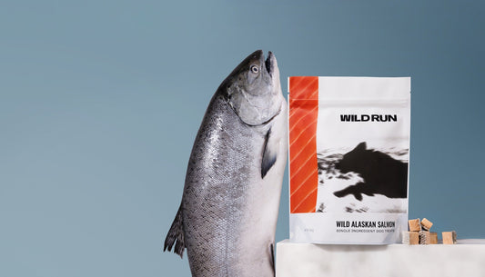 Wild Run wild Alaskan salmon dog treats beside a whole salmon and freeze-dried salmon pieces, skin on.