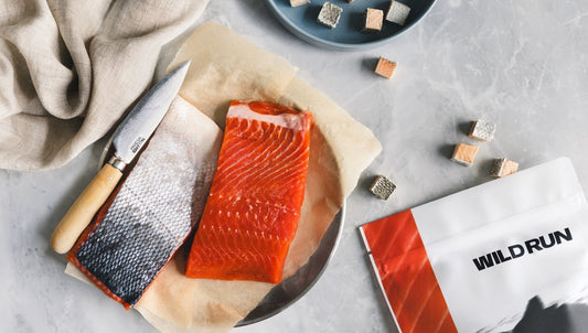 Wild Run freeze-dried wild Alaskan salmon dog treats shown with fresh skin-on salmon fillets and salmon treat pieces.